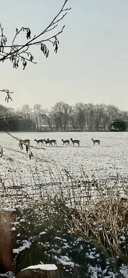 Skorstensfejerens Bed & Breakfast Bogense Buitenkant foto